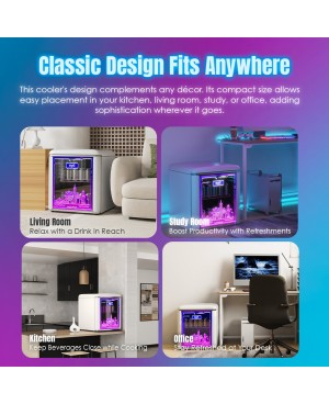 Mynticool Beverage Cooler Refrigerator