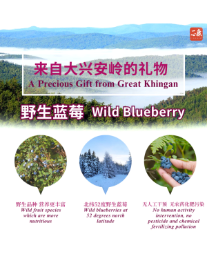 TRULY'S Wild Blueberry Puree 𝗣𝗿𝗼𝘁𝗲𝗰𝘁 𝗩𝗶𝘀𝗶𝗼𝗻 (20 sachets/box) High Antioxidant 一心康™ 野生蓝莓原浆 保护视力 抗氧化
