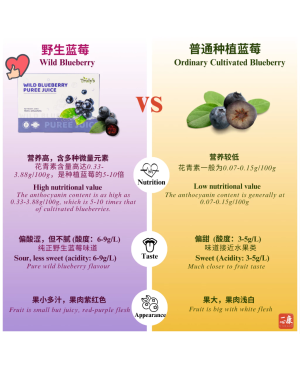 TRULY'S Wild Blueberry Puree 𝗣𝗿𝗼𝘁𝗲𝗰𝘁 𝗩𝗶𝘀𝗶𝗼𝗻 (20 sachets/box) High Antioxidant 一心康™ 野生蓝莓原浆 保护视力 抗氧化