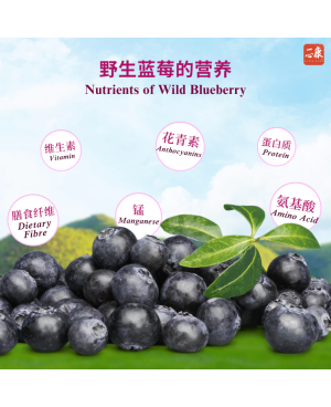 TRULY'S Wild Blueberry Puree 𝗣𝗿𝗼𝘁𝗲𝗰𝘁 𝗩𝗶𝘀𝗶𝗼𝗻 (20 sachets/box) High Antioxidant 一心康™ 野生蓝莓原浆 保护视力 抗氧化