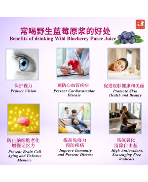TRULY'S Wild Blueberry Puree 𝗣𝗿𝗼𝘁𝗲𝗰𝘁 𝗩𝗶𝘀𝗶𝗼𝗻 (20 sachets/box) High Antioxidant 一心康™ 野生蓝莓原浆 保护视力 抗氧化