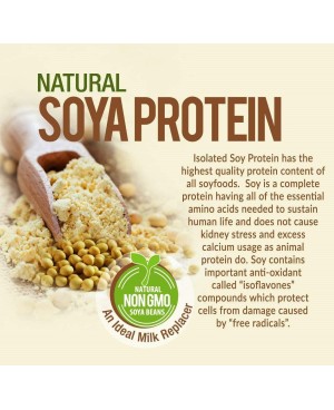 RADIANT Natural Soya Protein Powder (Non-GMO) 300g