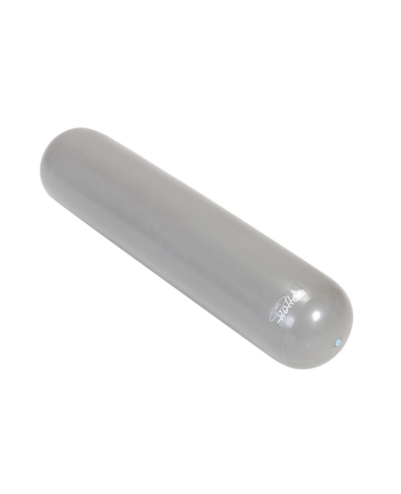 Fit-Ball Roller