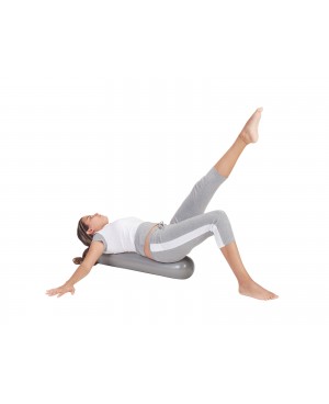 Fit-Ball Roller