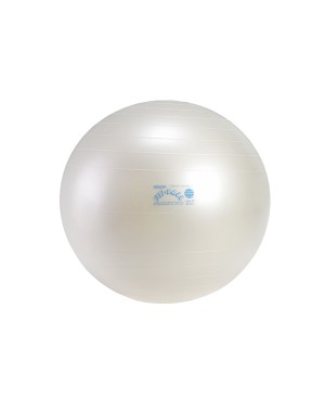 Fit Ball Plus BRQ