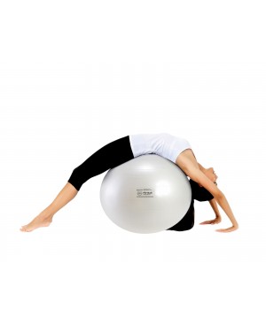 Fit Ball Plus BRQ