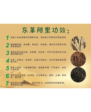100% Hutan Natural Yellow Tongkat Ali 100% 森林野生黄东革啊里 ( 500g )