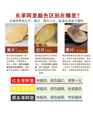 100% Hutan Natural Yellow Tongkat Ali 100% 森林野生黄东革啊里 ( 500g )