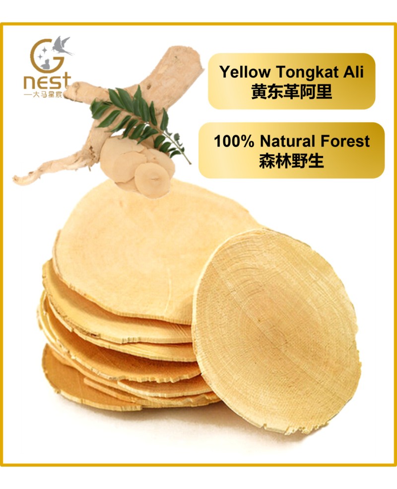 100% Hutan Natural Yellow Tongkat Ali 100% 森林野生黄东革啊里 ( 500g )