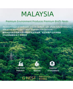 Fragment Bird' Nest 心形燕饼 ( 50g/ 100g )