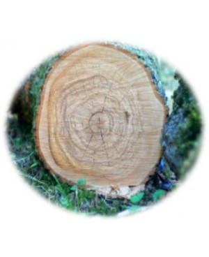 Copaiba Touch - 10ml