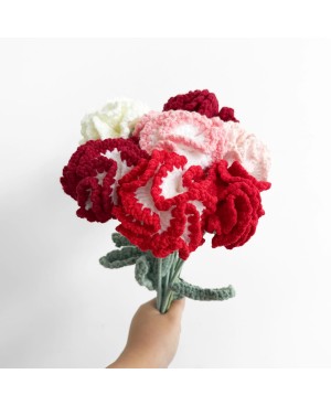 Crochet Flower Carnation For Mother's Day Flower Bouquet Gift 针织康乃馨