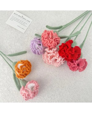 Crochet Flower Carnation For Mother's Day Flower Bouquet Gift 针织康乃馨