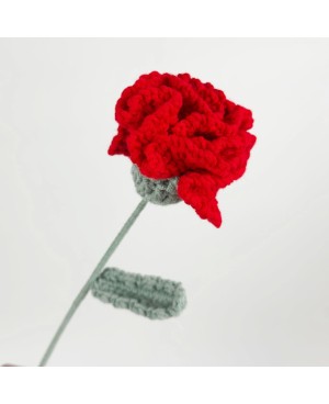 Crochet Flower Carnation For Mother's Day Flower Bouquet Gift 针织康乃馨