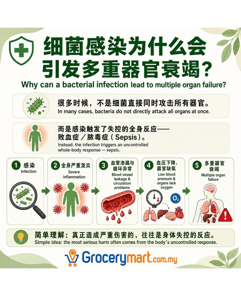 𝐁𝐚𝐜𝐭𝐞𝐫𝐢𝐚𝐥 𝐈𝐧𝐟𝐞𝐜𝐭𝐢𝐨𝐧 细菌感染