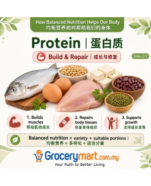 Balanced Meal 均衡饮食