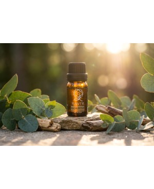 Eucalyptus Essential Oil (10ml)