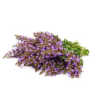 Clary Sage - 15ml