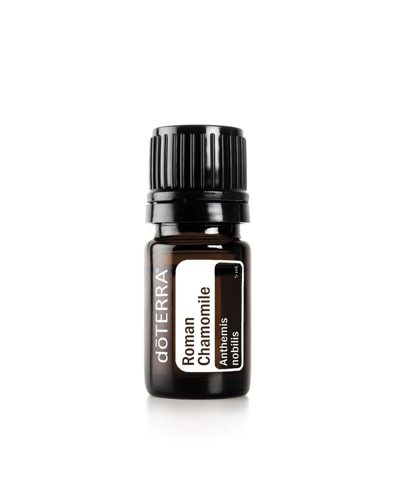 Roman Chamomile - 5ml