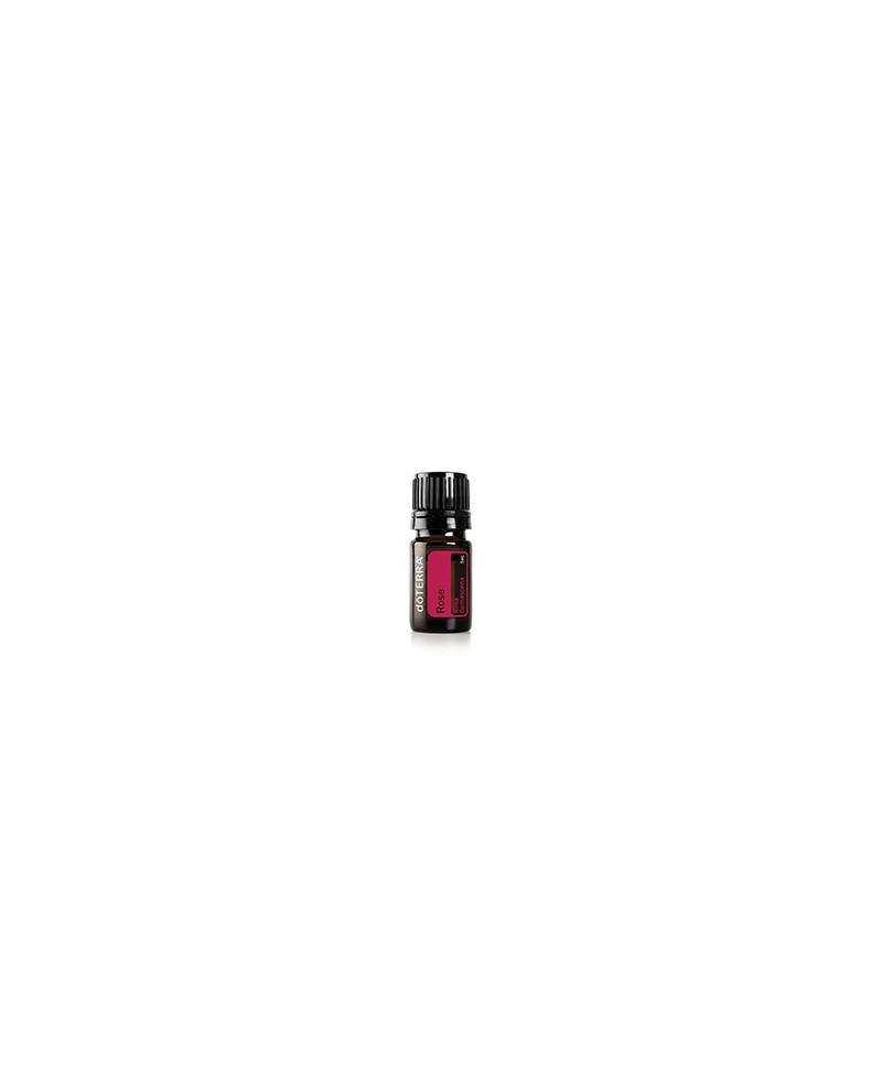 Rose - 5ml