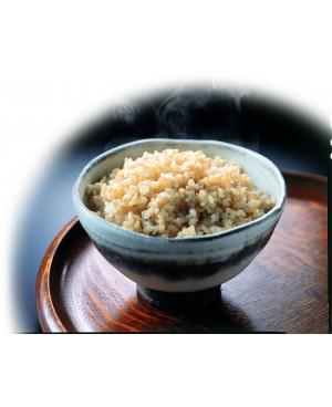 ZOJIRUSHI 1L / 1.8L MICOM RICE COOKER & WARMER - NL-GAQ10/ 18