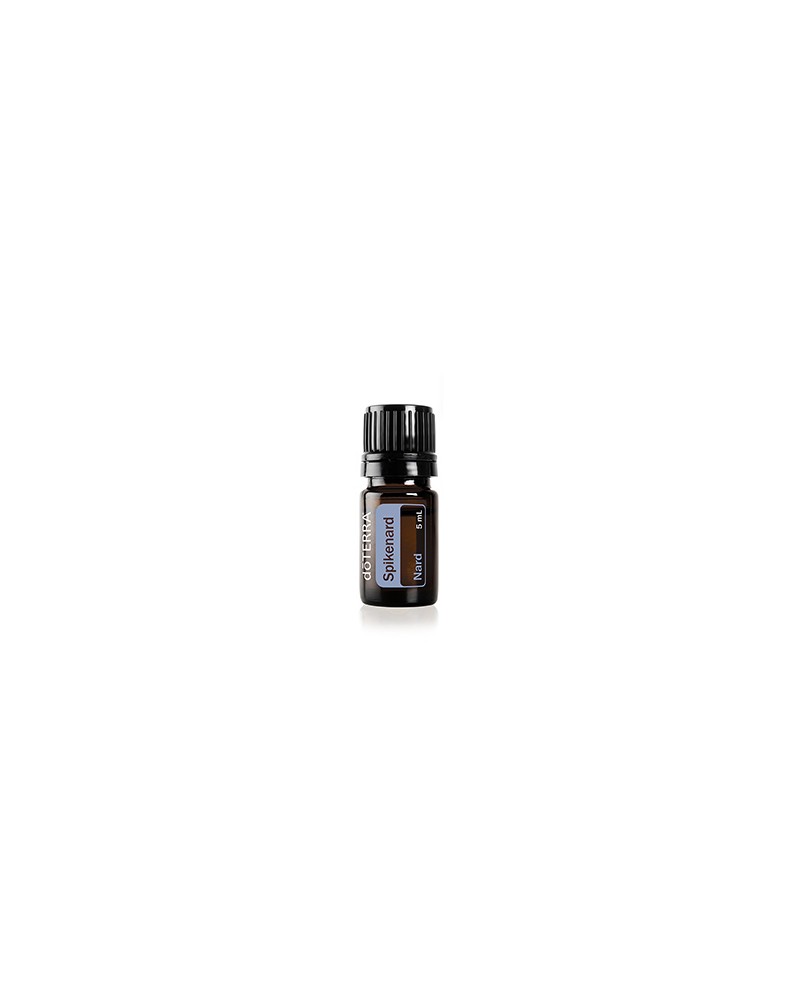 Spikenard - 5ml