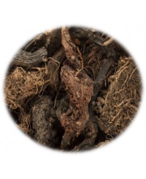 Spikenard - 5ml