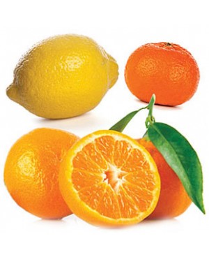 Citrus Bliss® Invigorating Blend - 15ml