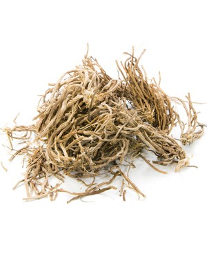 Vetiver - 15ml