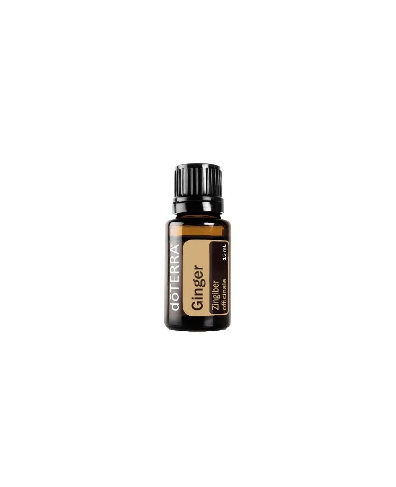 Ginger - 15ml