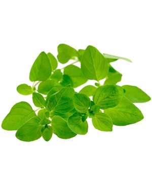 Marjoram - 15ml
