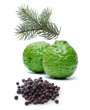 MY Forgive® Touch - 10ml