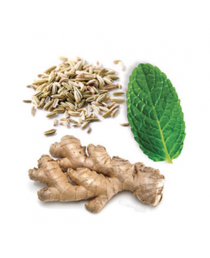 dōTERRA ZenGest® Touch Oil - 10ml