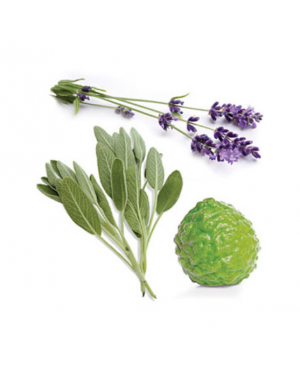 Clary Calm® Rollon Monthly Blend for Women - 10ml