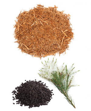 HD Clear® Foaming Face Wash