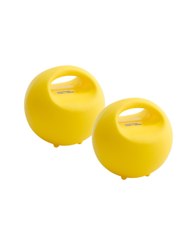 Training Bowl Pair