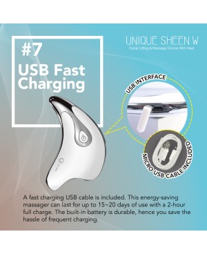 OGAWA Unique Sheen W Facial Lifting and Massage Device With Heat