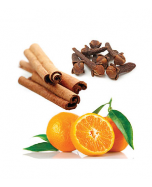 On Guard® Cleaner Concentrate - 355ml