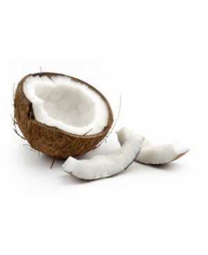 MY Fractionated Coconut Oil - 115 ml / 3.8 fl.oz