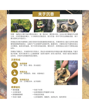 Premium Kynam Agarwood Tea 5 in 1 奇楠沉香茶 5合1 - NYCX 南洋沉香