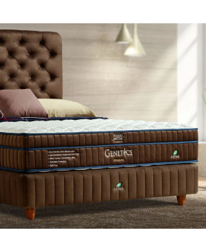 GETHA Genetics Four In One Mattress ( Medium )