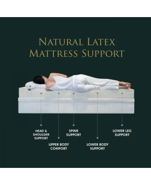 GETHA Genetics Fibre And Natural Latex Mattress ( Firm )