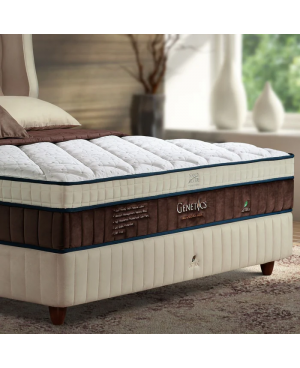 GETHA Genetics Fibre And Natural Latex Mattress ( Firm )