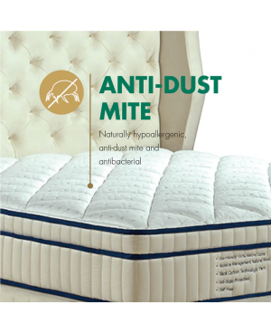GETHA Genetics 100 Latex Mattress ( Medium )