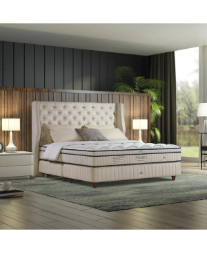 GETHA Genetics 100 Latex Mattress ( Medium )