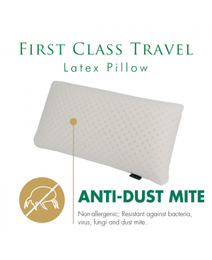GETHA First Class Travel Latex Pillow