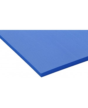 AIREX Hercules - Blue