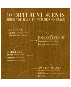MoodLit Fragrant Candle Gift Set