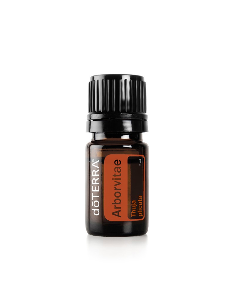 Arborvitae - 5ml