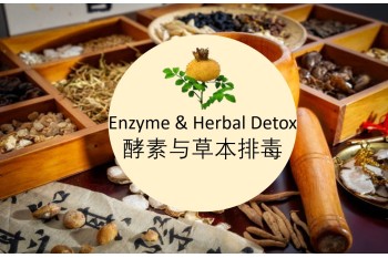 Enzyme & Herbal Detox 酵素与草本排毒